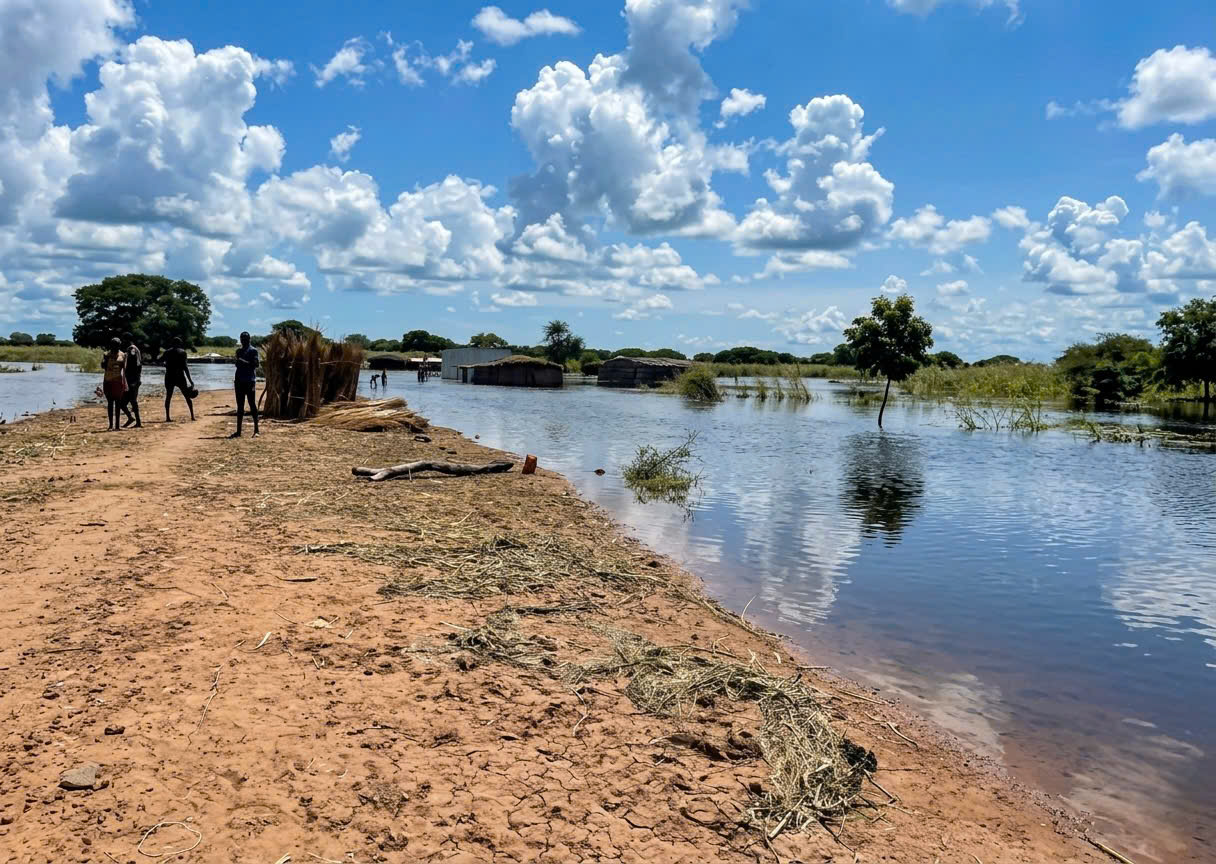 /UploadStore/admin/260314 DCB3/4685224804888248215.jpg